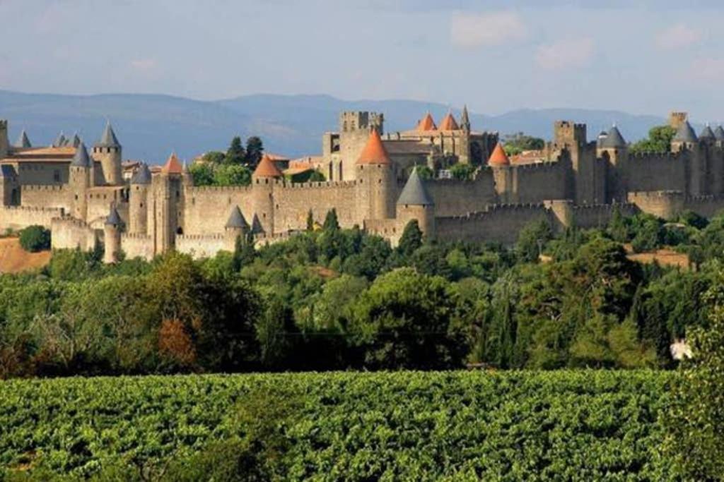 Diamond - Dans Vieux Prieure Pres De Carcassonne * Sainte-Eulalie (Aude)