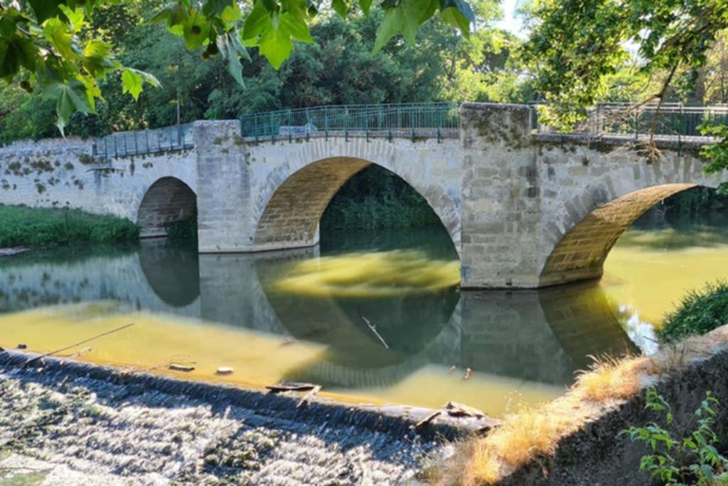 Appartement Dans Vieux Prieuré Près De Carcassonne - Diamond Sainte-Eulalie (Aude)