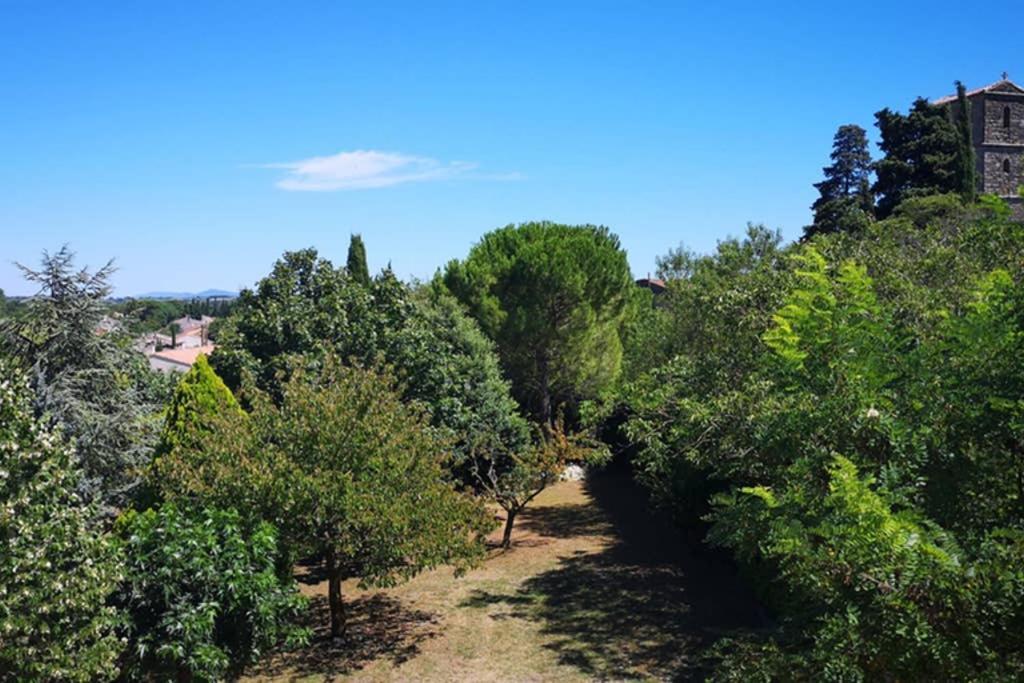 Appartement Dans Vieux Prieuré Près De Carcassonne - Diamond *
